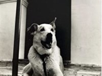 “Man About Town”&nbsp;E-Book